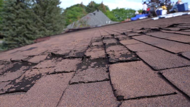 Best Storm Damage Roof Repair  in Hubbard, OH